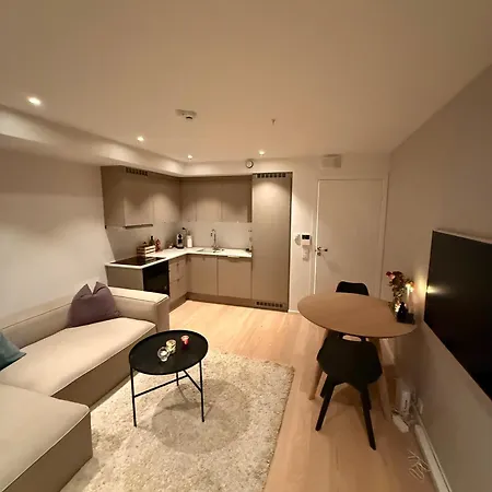 Luxury Northen Lights