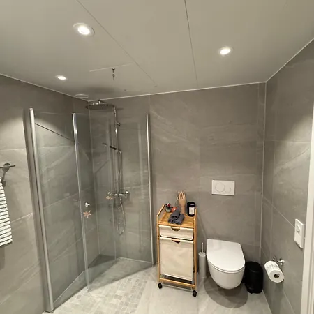 Luxury Northen Lights 公寓 特罗姆瑟