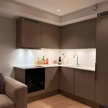 Luxury Northen Lights Apartment Tromso