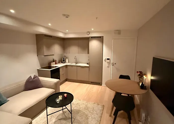 Luxury Northen Lights